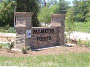 Palmetto Pointe