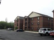 Olde South Terrace
